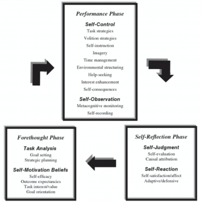 Zimmerman and Camillo cycle of self regulation