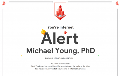 Dr Young's Google Interland Certificate